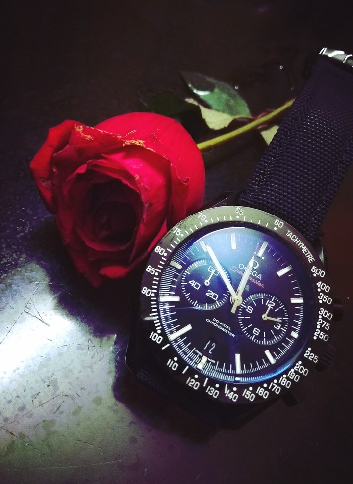 gentlemen and ladies