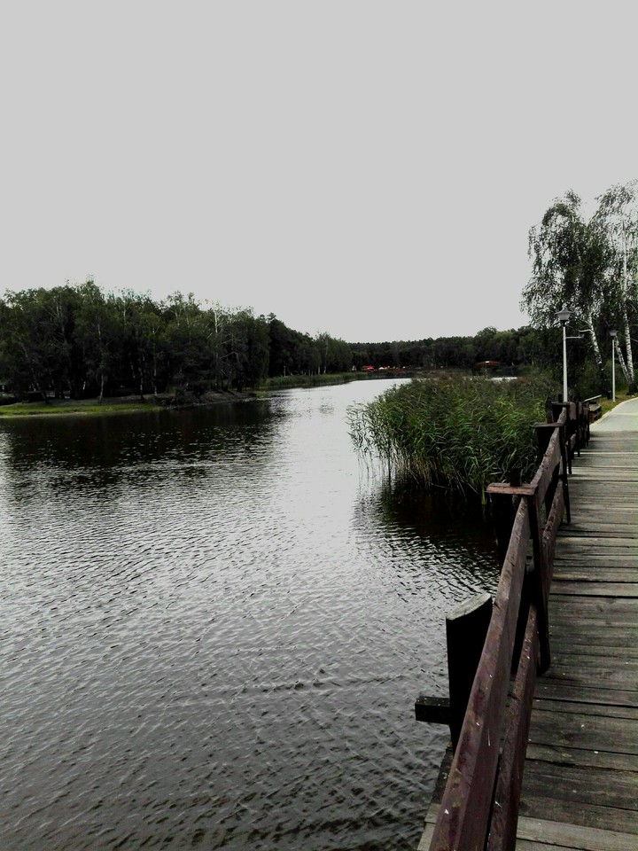 Bridge