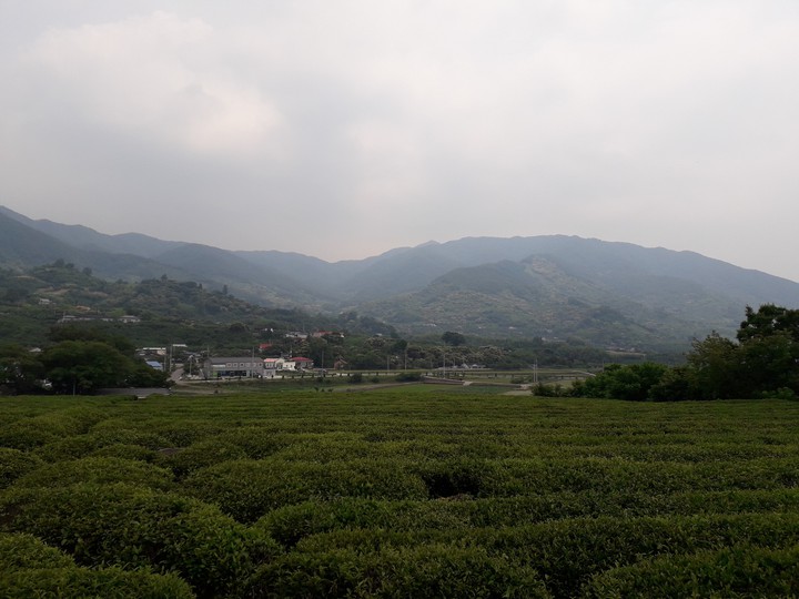 mountains