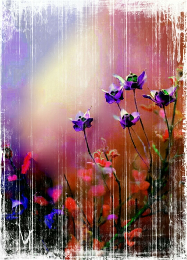 soft beauty