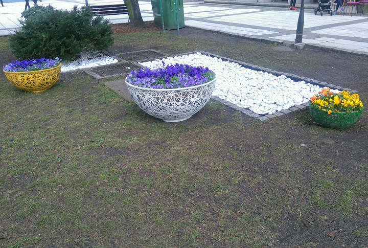flowers