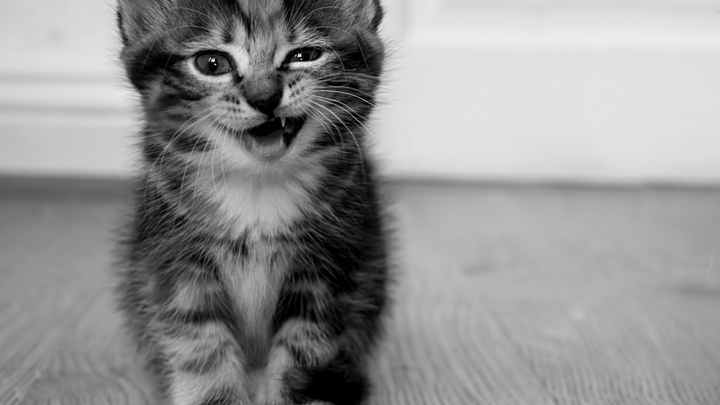 grimace