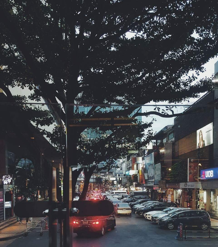 early evening
