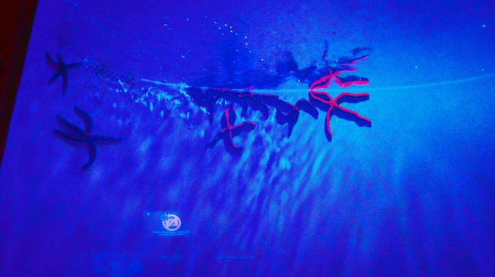 aquaRio