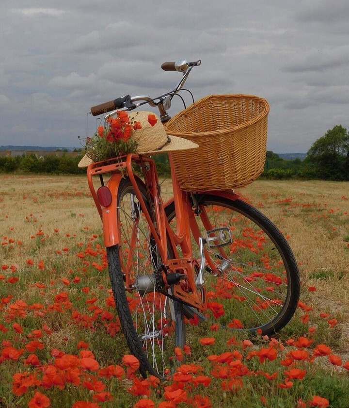 #bicycle