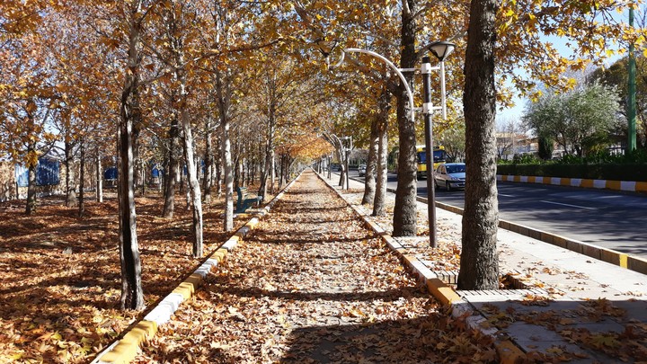 Qazvin's autumn