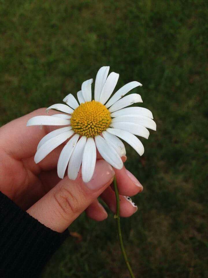 ❤
