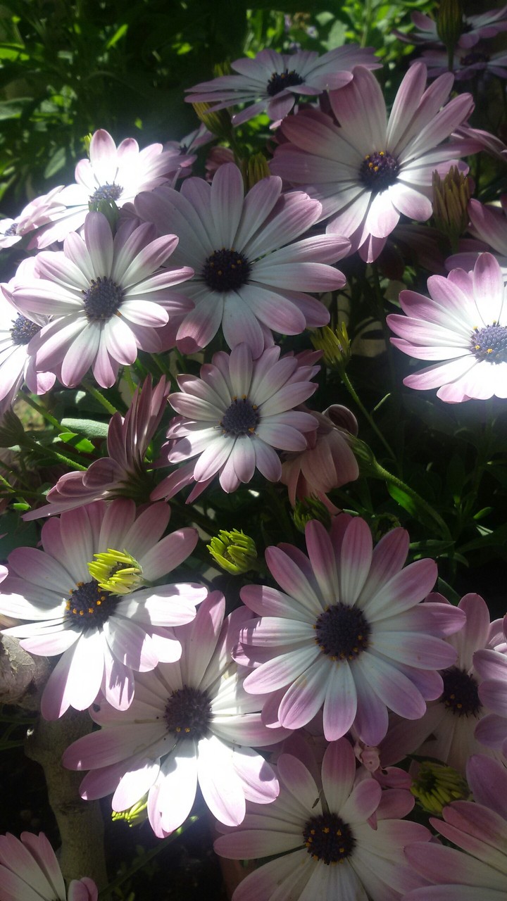 spring is coming