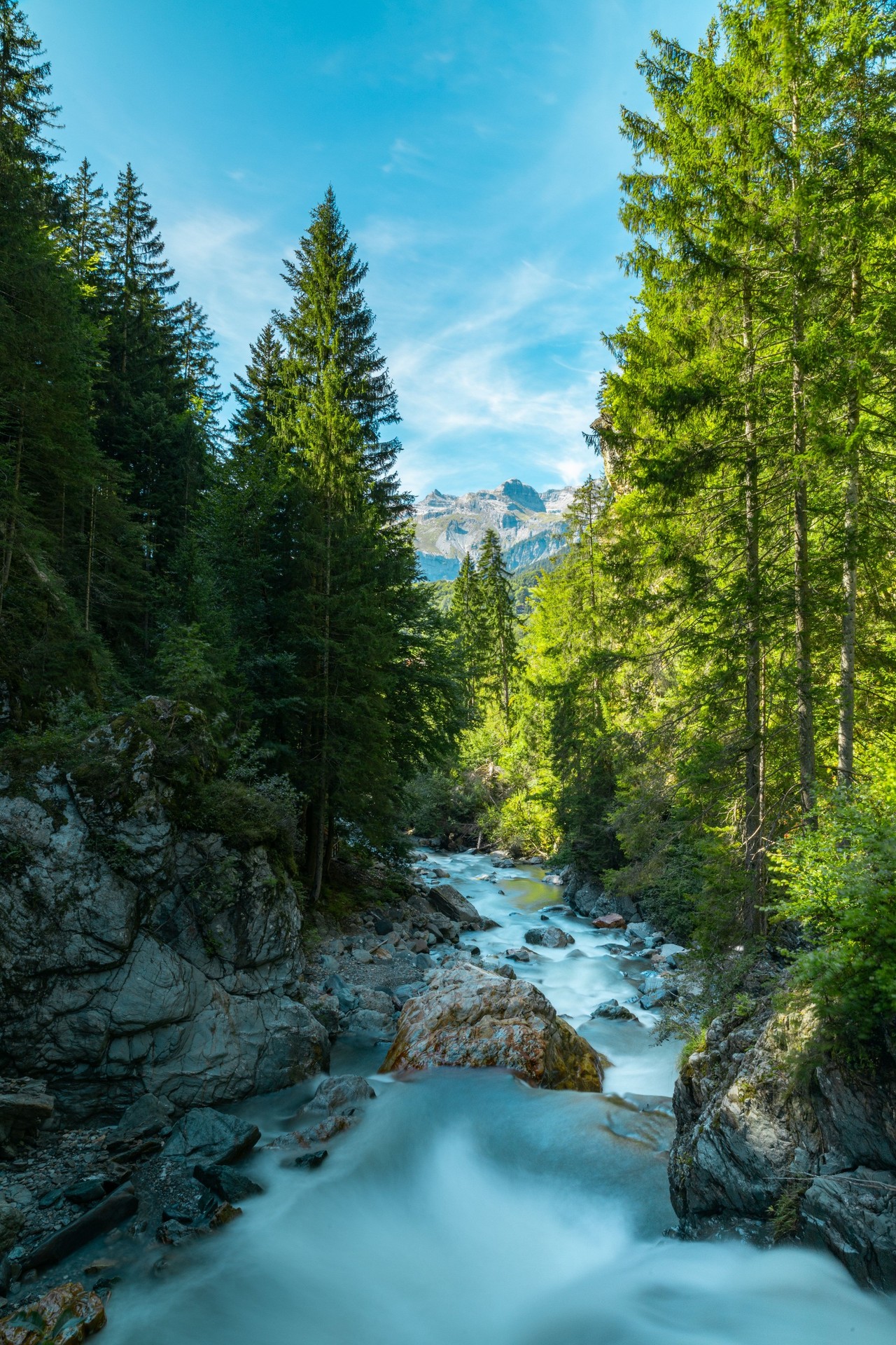fondos de pantalla nature, stream