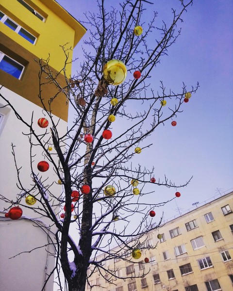 Happy new year