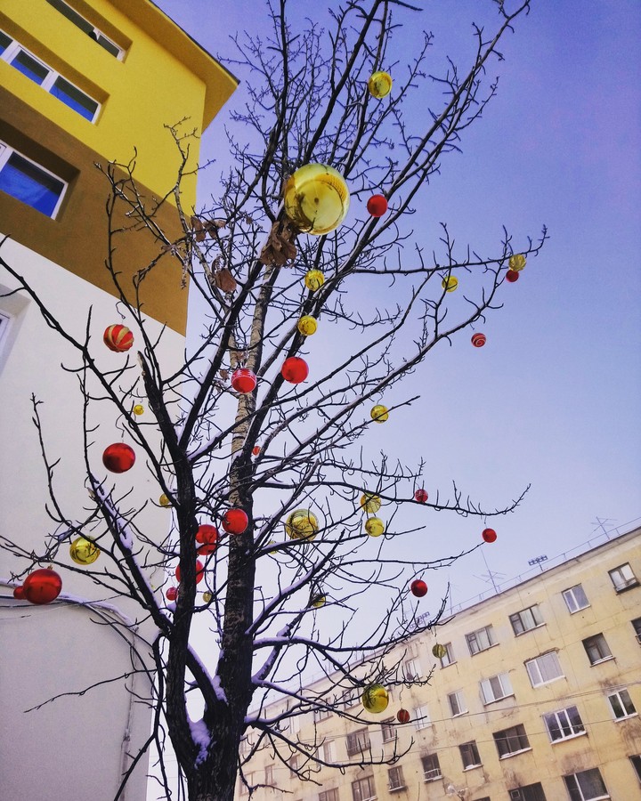 Happy new year 