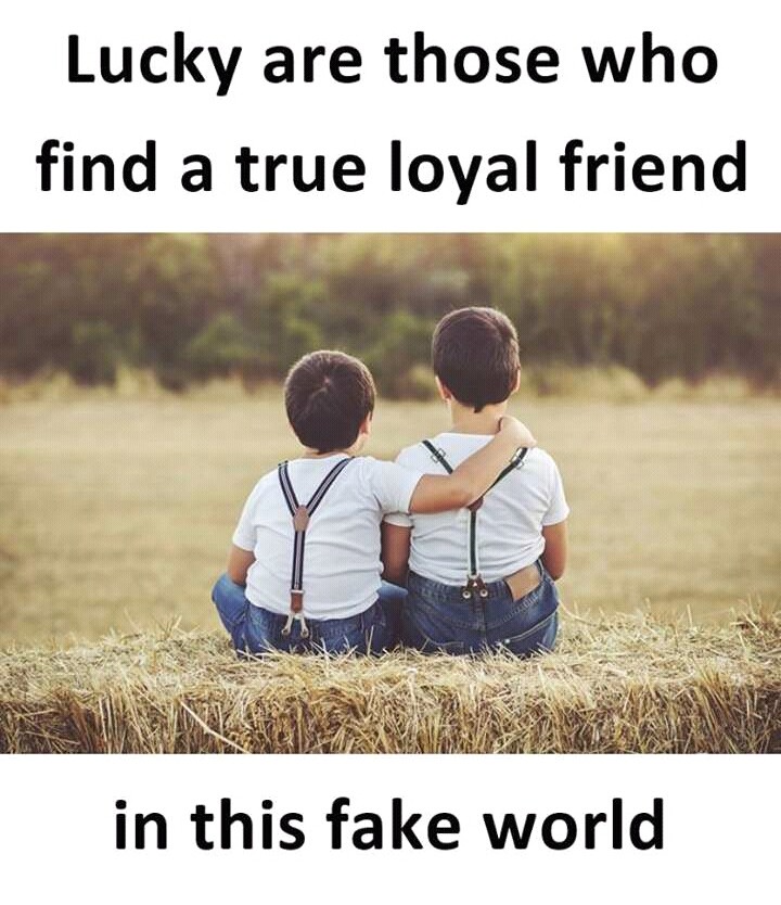 friendship