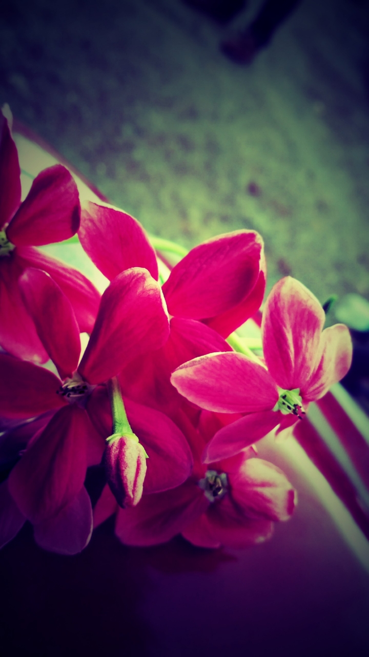 My Click