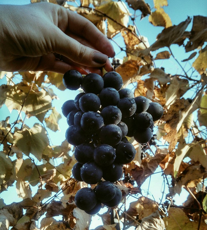 autummmmmm
