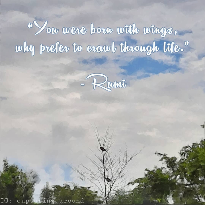 Quotes