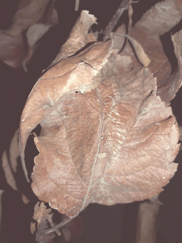 #night#shot