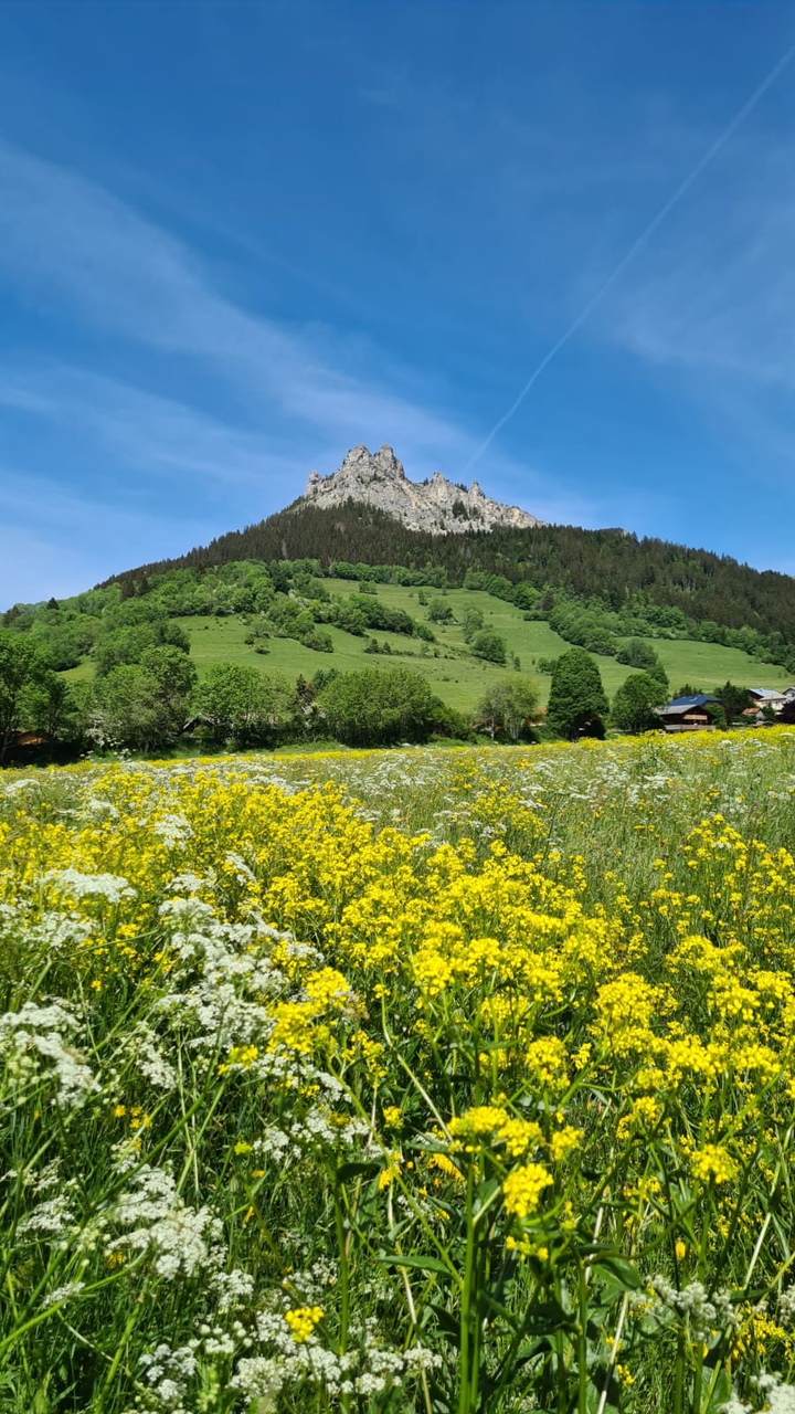 Mountain landscape
