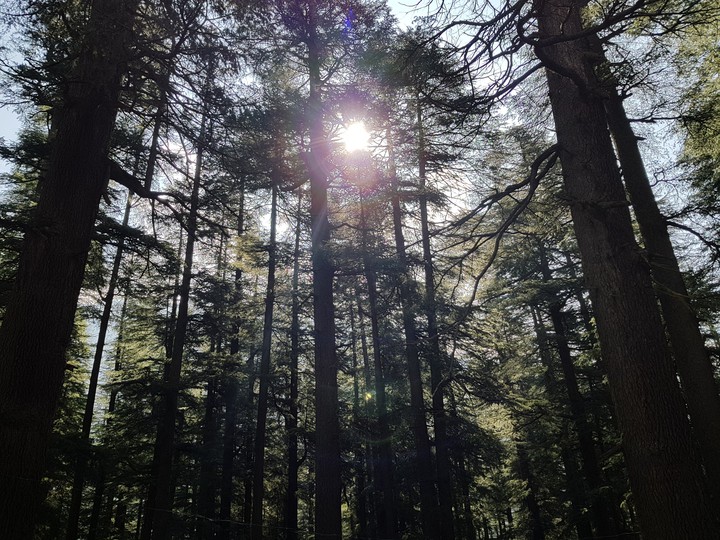 manali