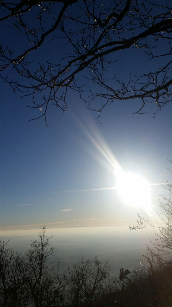Sunshine