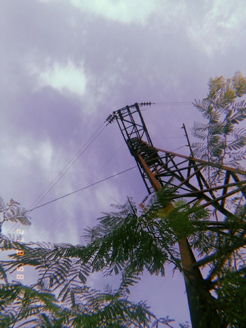 purple sky