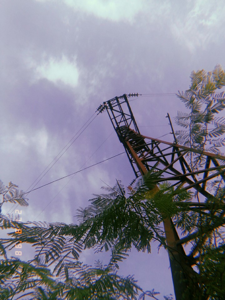 purple sky