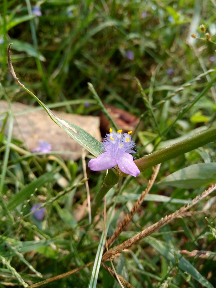 small
