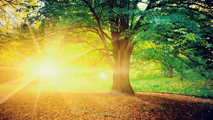 Shining Sun