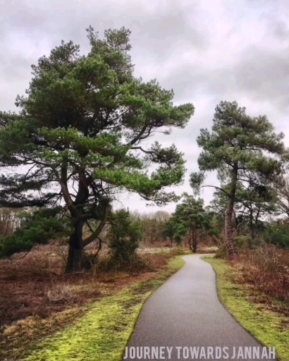 nature