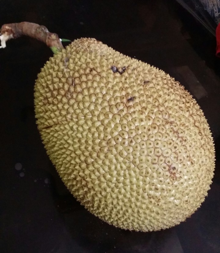 Jackfruit(Artocarpus heterophyllus)