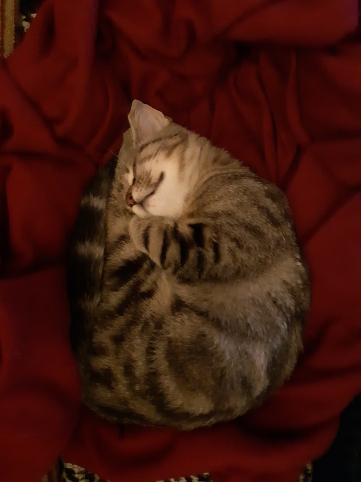c est l heure de la sieste
