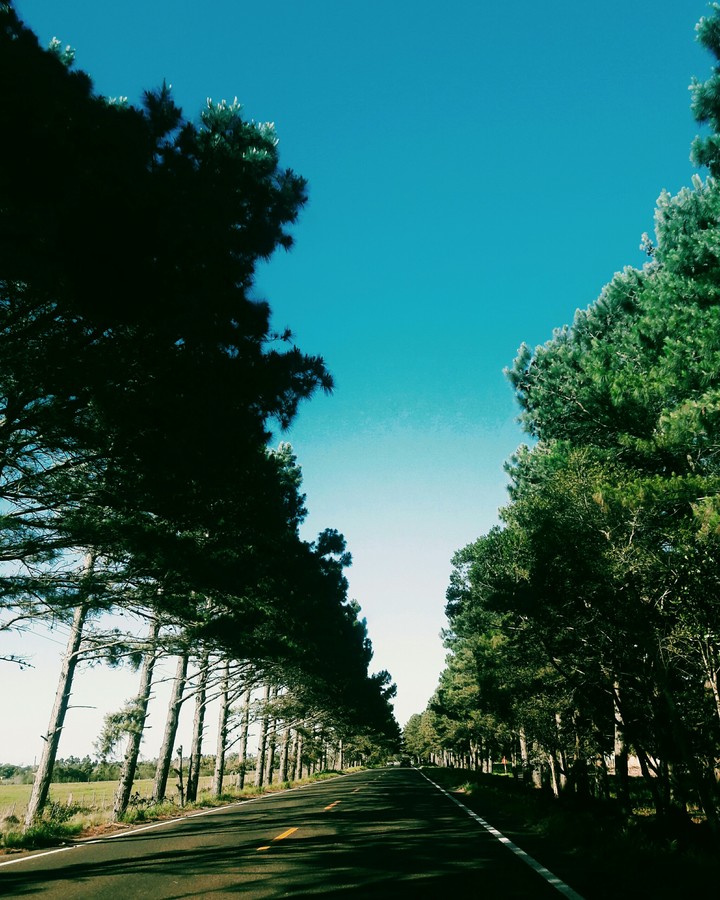 natureza