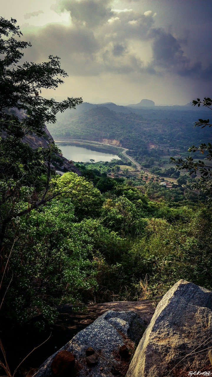Morning trek