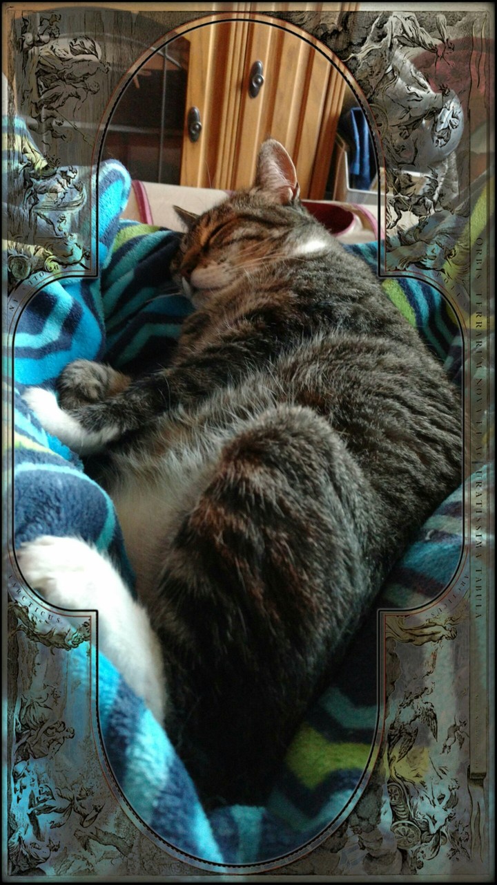 MK is gorgeous! Precious, sweet (ღ˘⌣˘ღ)