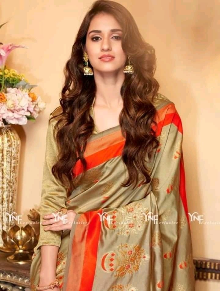 disha patani wear indian traditional dresss