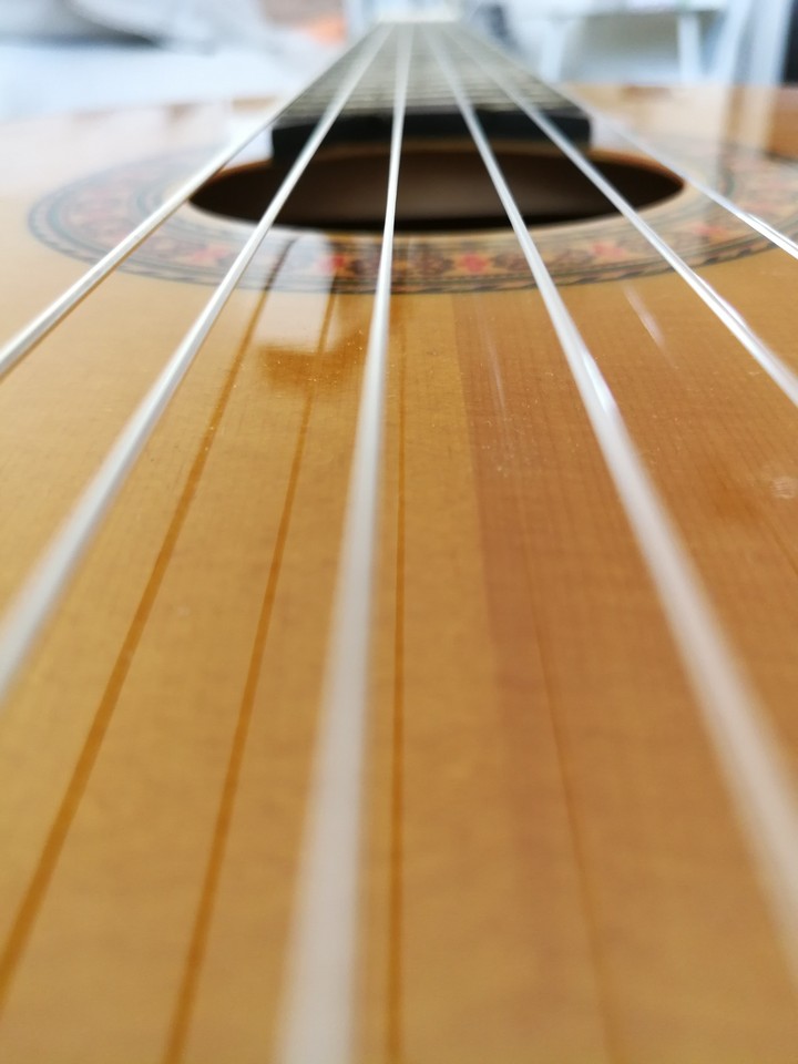 Guitar