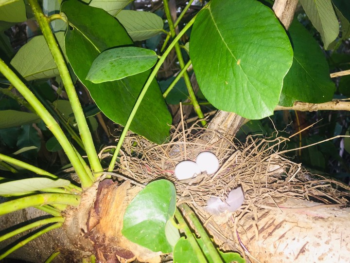 .