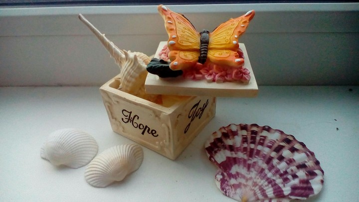 seashells and small casket