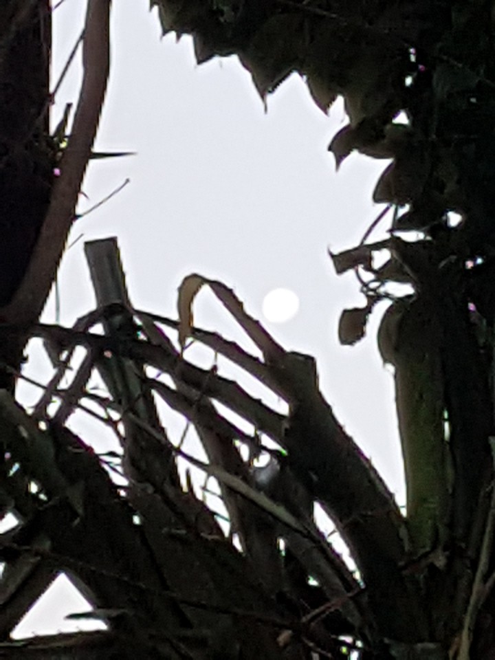 a natureza me encanta