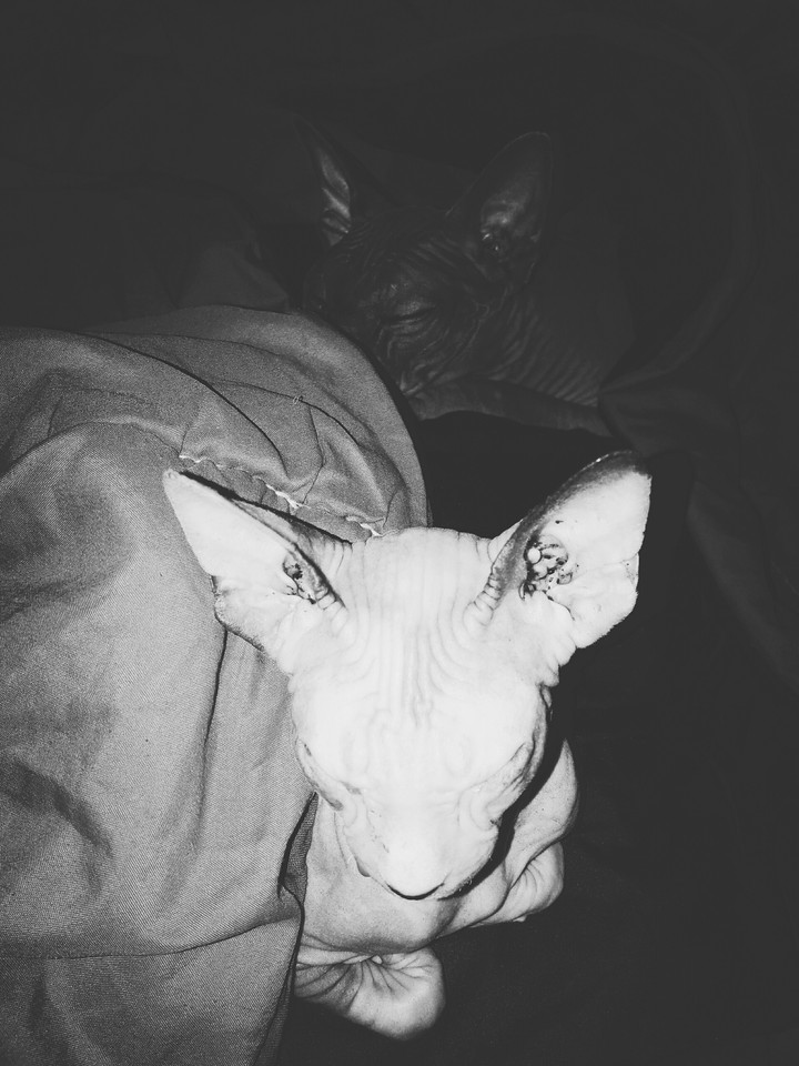 Klaus et Spud