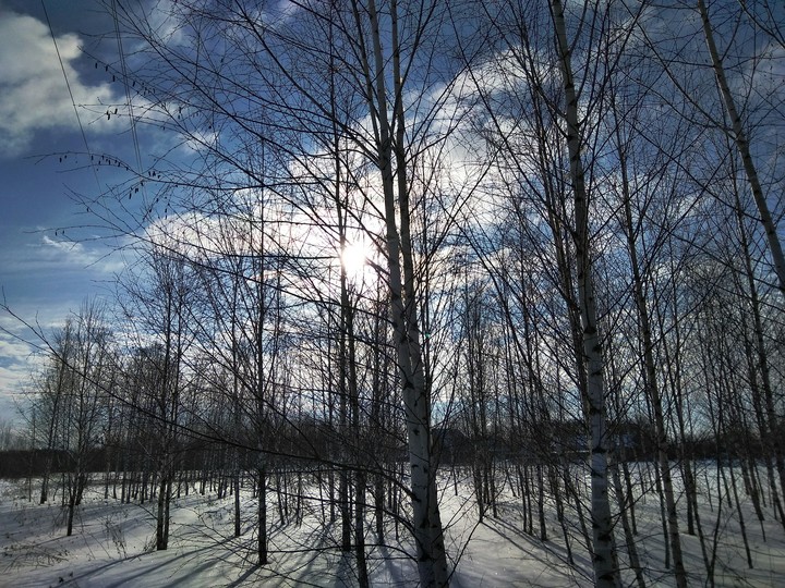 Погодка