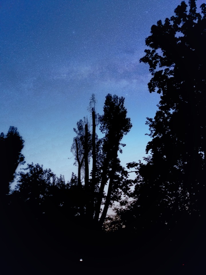 Night