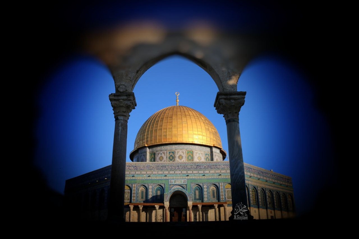 free palestine