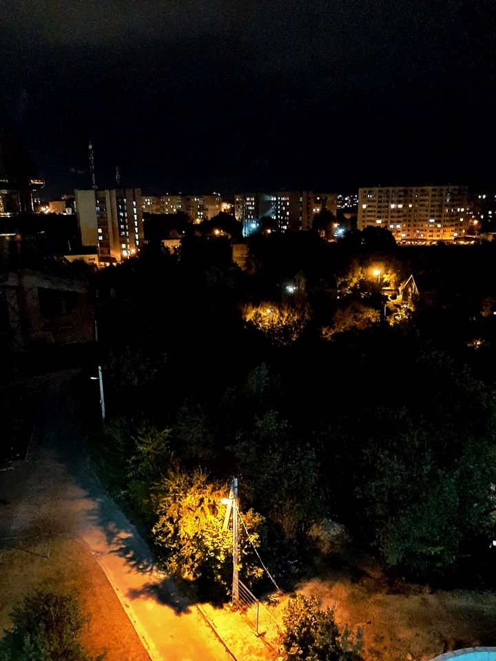 night life