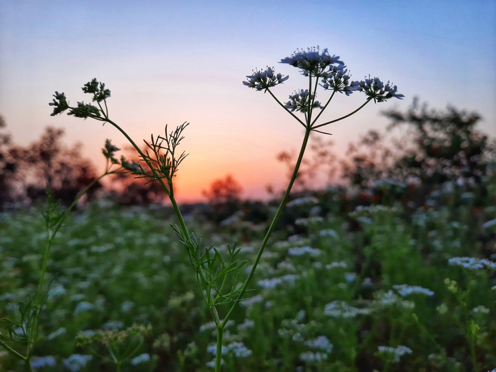 A wonderful Sunset