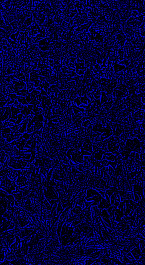 Electric Blue Outlines