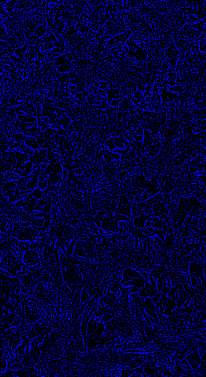 Electric Blue Outlines
