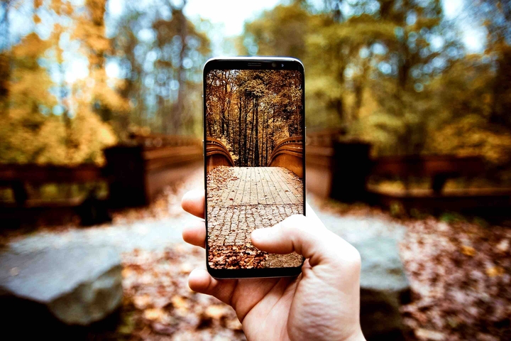 my phone ?