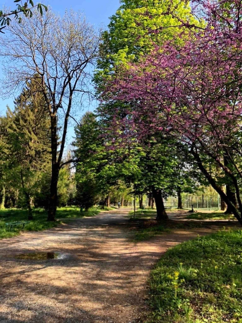 Park of Peja