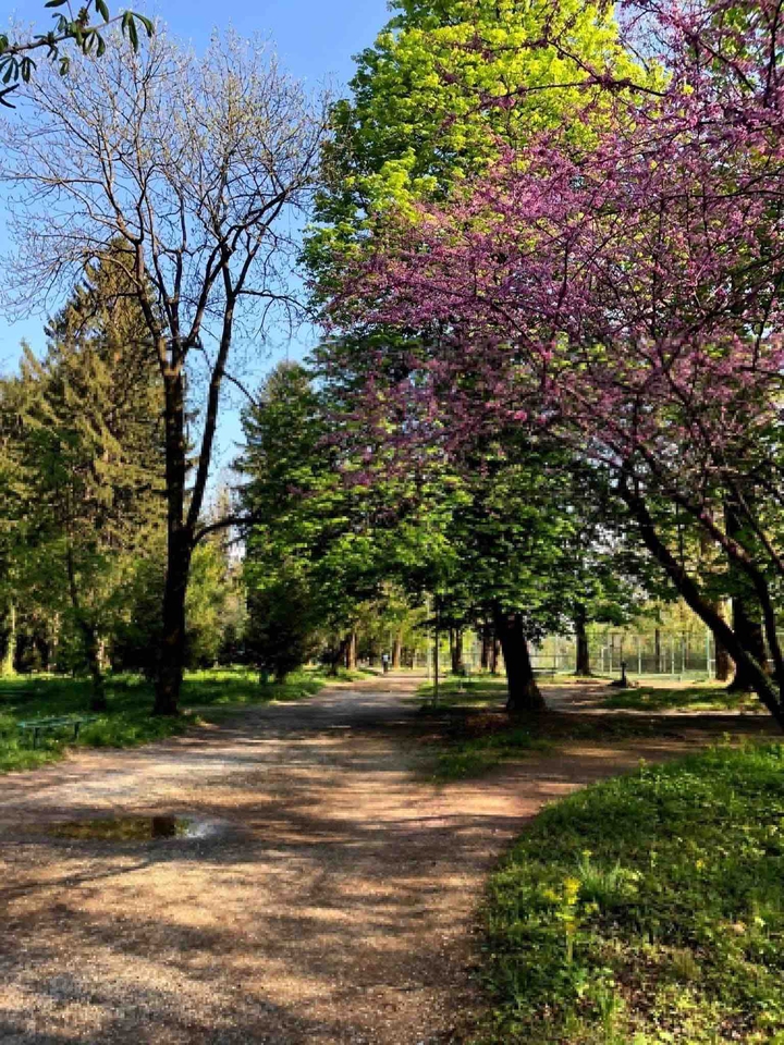 Park of Peja