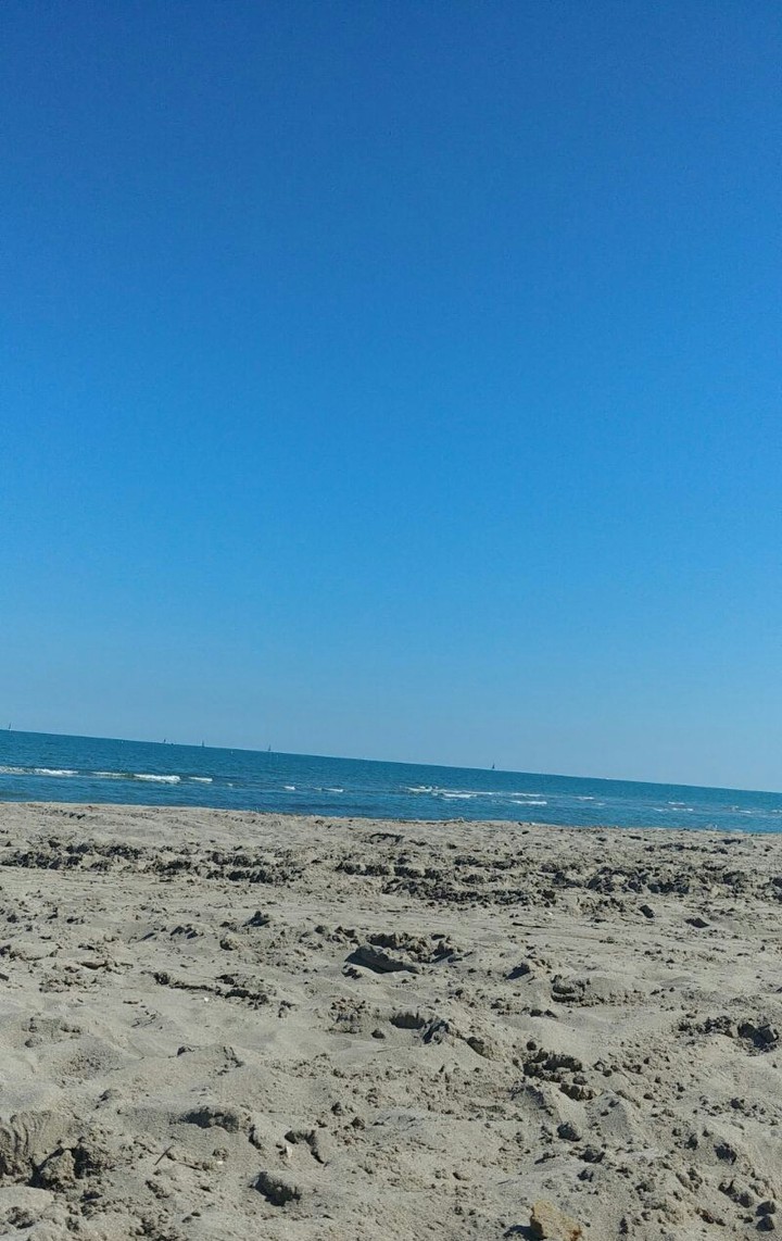 mare